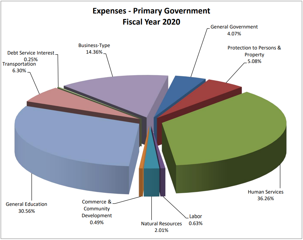 Pie Chart showing expenses from FY 2020